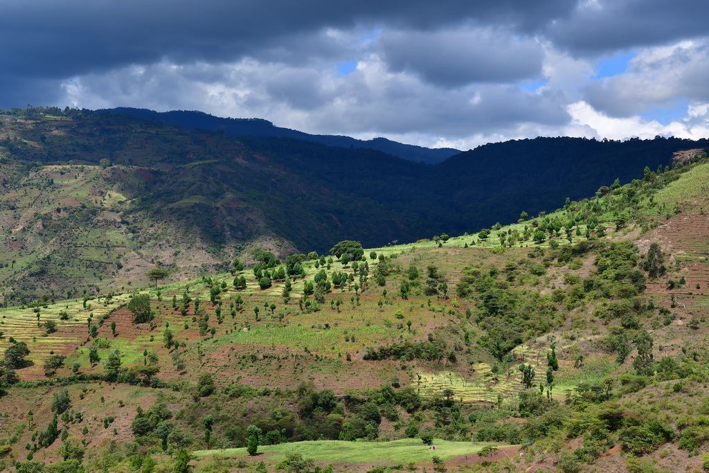 Arba Minch to Turmi